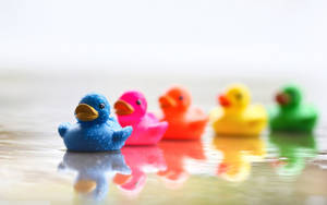 Colorful Rubber Duck Wallpaper