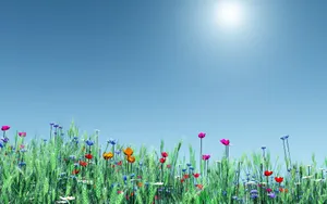 Colorful, Springtime Flowers Wallpaper