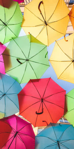 Colorful Umbrella Canopy Aerial View.jpg Wallpaper