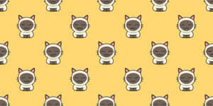 Colorful Whiskers And Tails Wallpaper