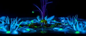 Colors In Motion Bursting Across A 3440x1440 Uhd Landscape Wallpaper