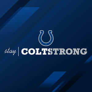 Colts Football Maxim Wallpaper