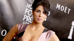 Comedian Sarah Silverman Poses Elegantly Wallpaper