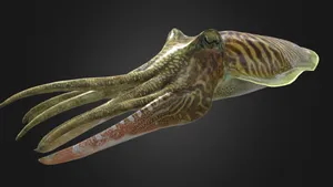 Common Cuttlefish Digital Projection Wallpaper