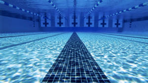 Competition Swimming Pool Wallpaper