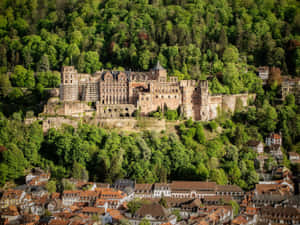 Complete View Of Heidelberg Castle Wallpaper
