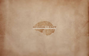 Conceptual Representation Of Opinion Vs Fact In The Cerebral World Wallpaper