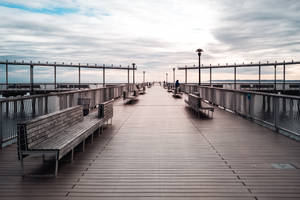 Coney Island Benches Wallpaper