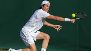 Confident Tommy Haas Wallpaper