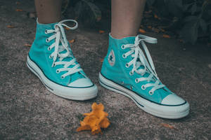 Converse All-star High Cut Teal Wallpaper