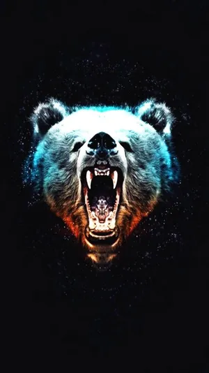 Cool Bear - Keeping Cool Is Always A Good Plan Wallpaper