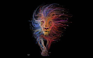 Cool Black Background Lion Floaty Mane Wallpaper