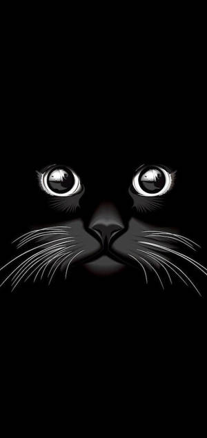 Cool Black Cat Wallpaper