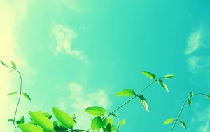 Cool Blue Green Sky Wallpaper