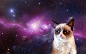 Cool Cat In Outer Space Wallpaper