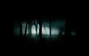 Cool Dark Tree Silhouettes Wallpaper