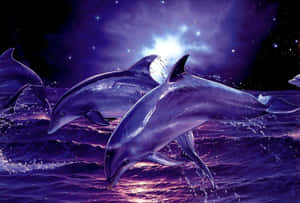 Cool Dolphins Purple Art Wallpaper