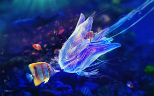 Cool Fish With Jellyfish Wallpaper
