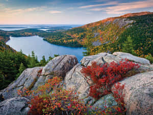 Cool Foliage New England Summer Wallpaper