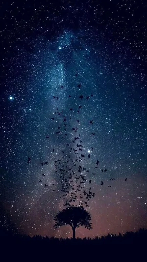 Cool Galaxy Birds Flying Wallpaper