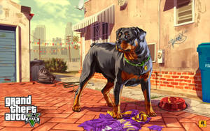 Cool Gta Dog Named Chop Wallpaper