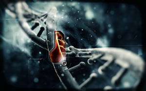 Cool Hd Dna Strand Wallpaper