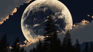 Cool Moon With Trees Silhouette Wallpaper