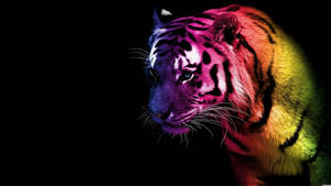 Cool Multi Colored Tiger Art Wallpaper