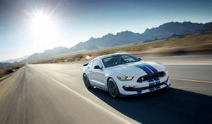 Cool Mustang White Wallpaper