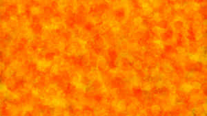 Cool Orange Dust Wallpaper