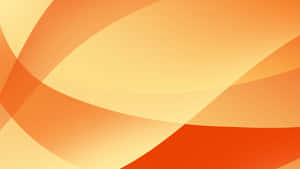 Cool Orange With White Wallpaper