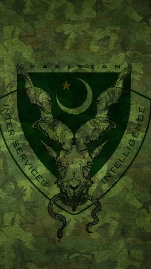 Cool Pakistan Team Logo Wallpaper