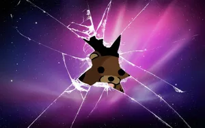 Cool Pfp For Discord Of Teddy Bear Peeking Through Screen Wallpaper