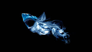 Cool Pictures Shark Digital Art Wallpaper