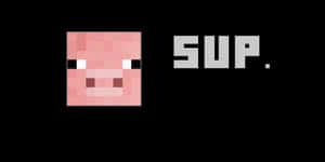 Cool Piggy Sup Wallpaper