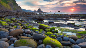 Cool Stones On The Beach For A Perfect Day Wallpaper