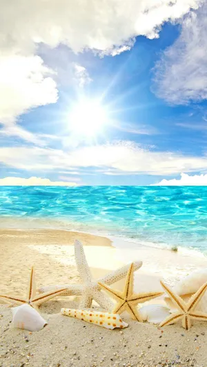 Cool Summer View And Starfishes On The Sand Wallpaper