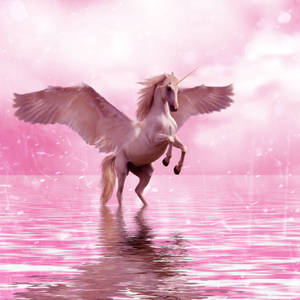 Cool Unicorn Pink Water Wallpaper