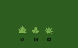 Cool Weed Icons Wallpaper
