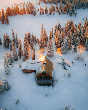 Cool Winter Frosty House Wallpaper