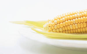 Corn On Transparent Plate Wallpaper