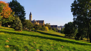 Cornell University Grounds Wallpaper