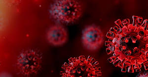 Coronavirus Blueprint Red Wallpaper