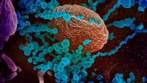 Coronavirus Variant Visual Wallpaper