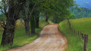 Country Road Bare And Dirt Covered Wallpaper