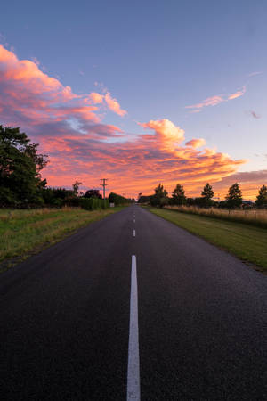 Country Road With Trees Wallpaper