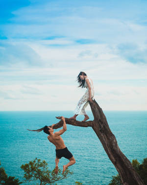 Couple On A Tree Wallpaper