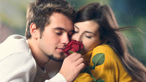 Couple With Rose Romantic Love Wallpaper