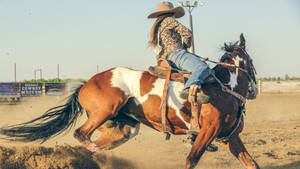 Cowgirl Horse Riding Wallpaper