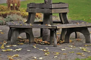 Cozy Autumn Benches Wallpaper